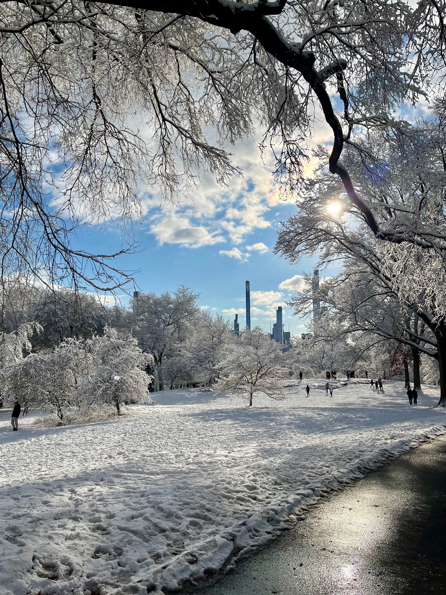Vista su Central Park coperto di neve