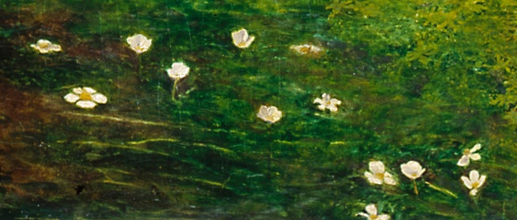 The Language of Ophelia's Flowers - by Jesse 𓆸