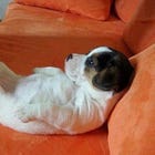 Exercise Dive: The Hundred