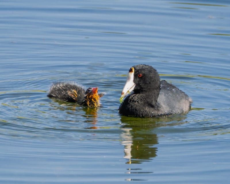 20250915-sgc-139-Edit.jpg 20250915-sgc-139-Edit.jpg