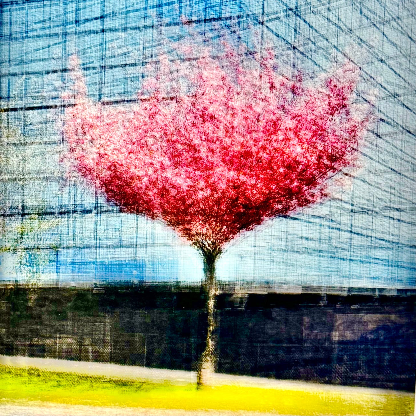 Jacob Gils - Es Capdella #3 - In The Gallery - Archival fine art print on Awagami Japanese paper  © Photograph by Sam Sunshine at The Association of International Photography Art Dealers Show New York 2026