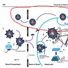 Exosomes, Schmectasomes: The Hidden Second Life of mRNA-LNPs