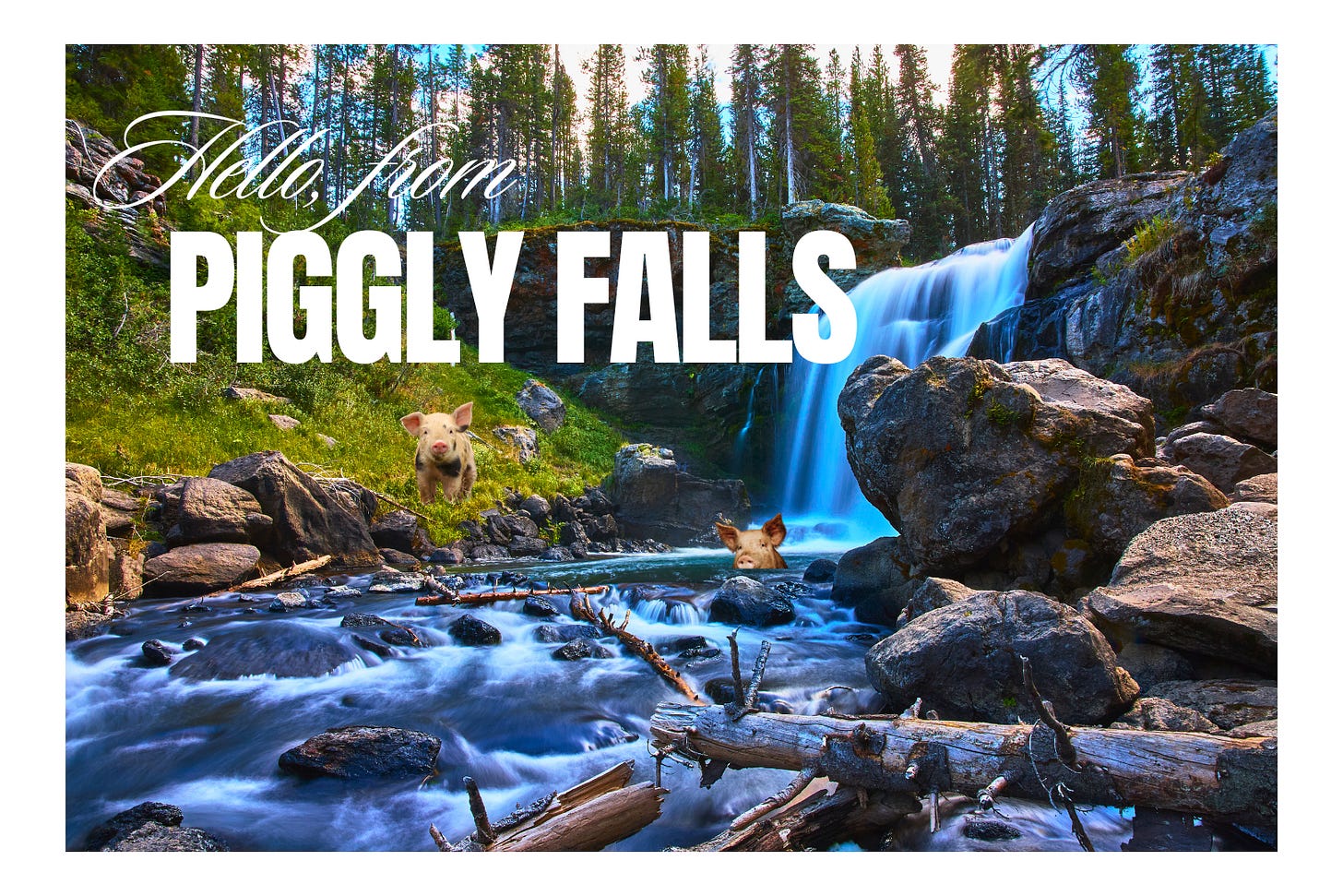 A novelty postcard reading "Hello, from Piggly Falls" in large white text. The background is a scenic long-exposure photograph of a waterfall cascading over dark rocky cliffs into a rushing blue river, surrounded by dense evergreen forest. Two small pigs are near the waterfallâone standing on the grassy bank to the left of the waterfall, and another peeking out from behind a boulder in the river. Fallen logs and mossy rocks line the foreground. A novelty postcard reading "Hello, from Piggly Falls" in large white text. The background is a scenic long-exposure photograph of a waterfall cascading over dark rocky cliffs into a rushing blue river, surrounded by dense evergreen forest. Two small pigs are near the waterfallâone standing on the grassy bank to the left of the waterfall, and another peeking out from behind a boulder in the river. Fallen logs and mossy rocks line the foreground.