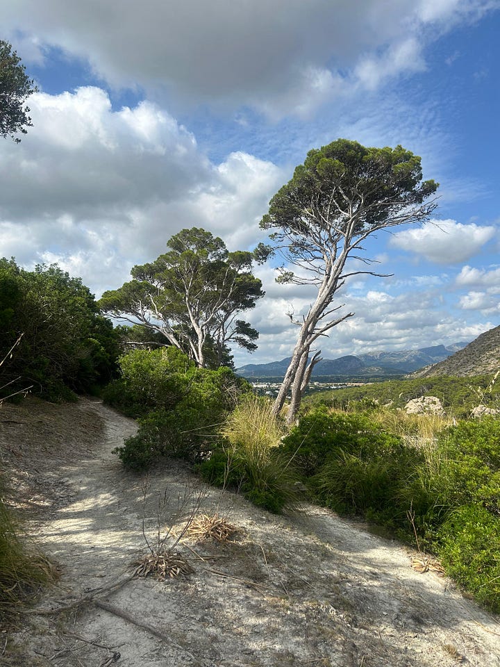 Https%3A%2F%2Fsubstack Post Media.s3.amazonaws.com%2Fpublic%2Fimages%2F9b9f43d7 Dd68 4570 8451 43dd4cf037d5 3024x4032