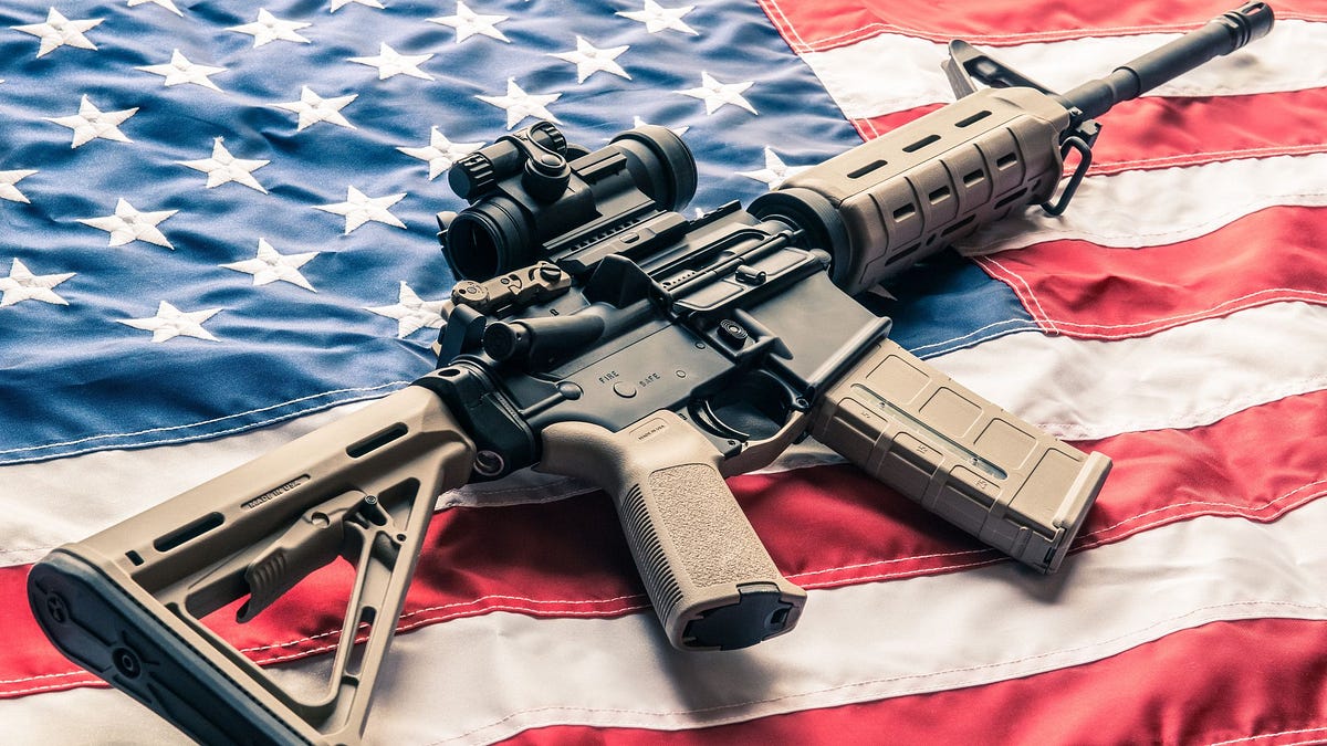 Why All the Guns In the US Will Never Matter During This Takeover Attempt