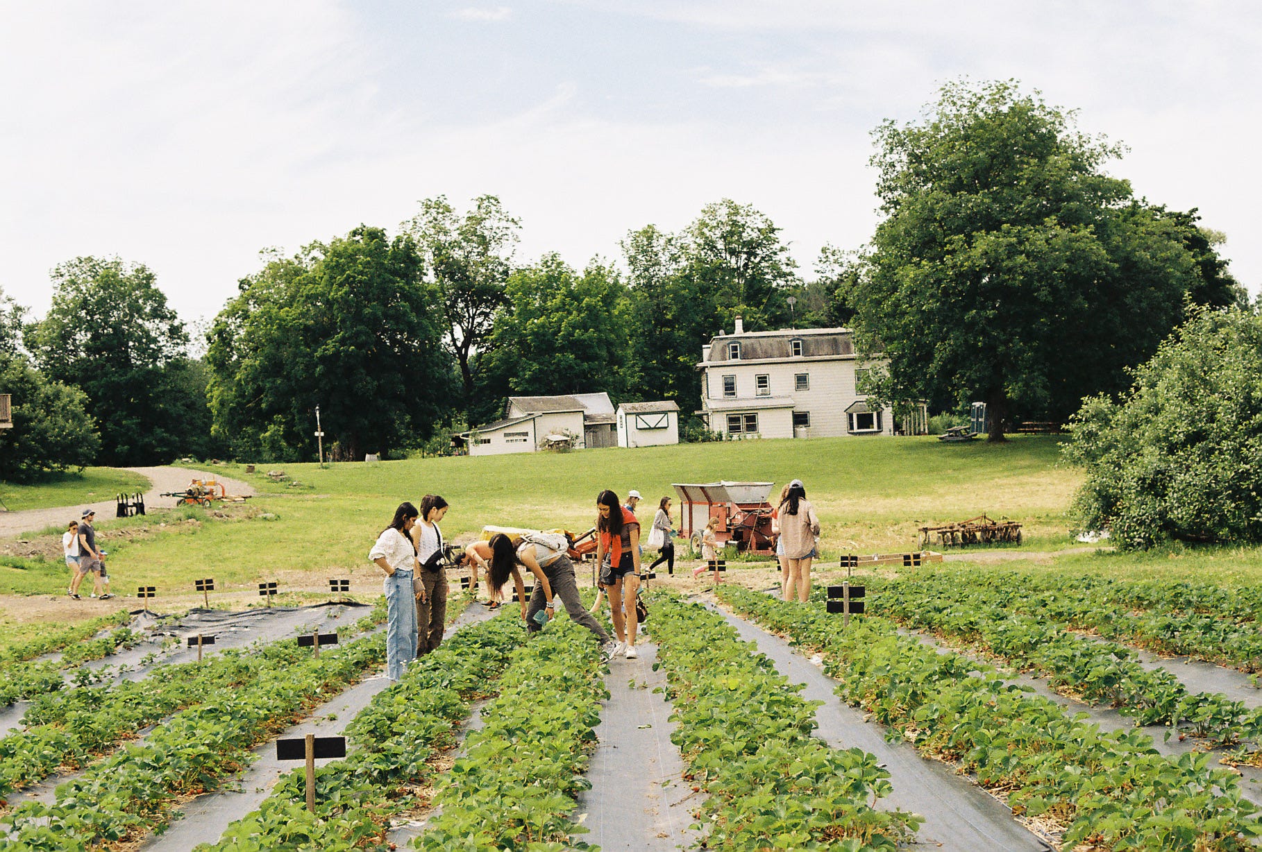 Samantha’s Substack