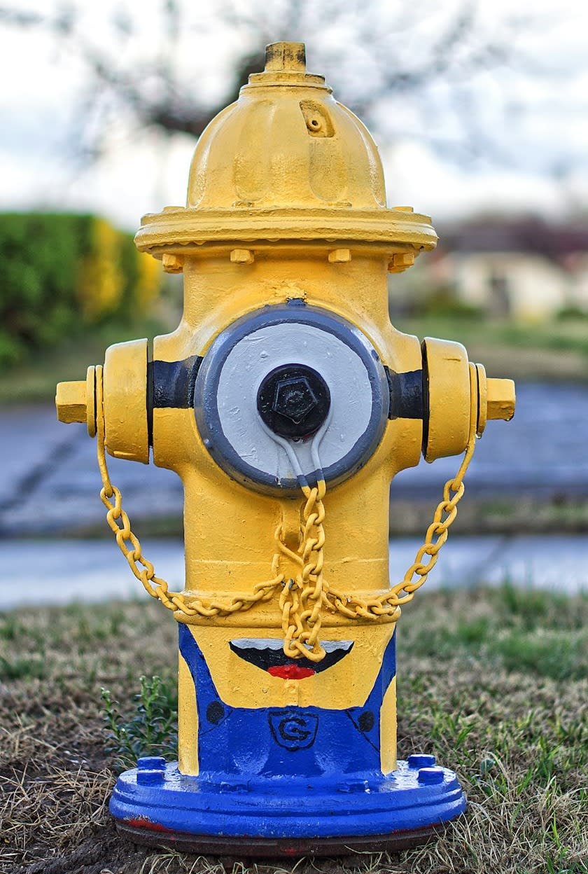a yellow and blue fire hydrant sitting in the grass a yellow and blue fire hydrant sitting in the grass