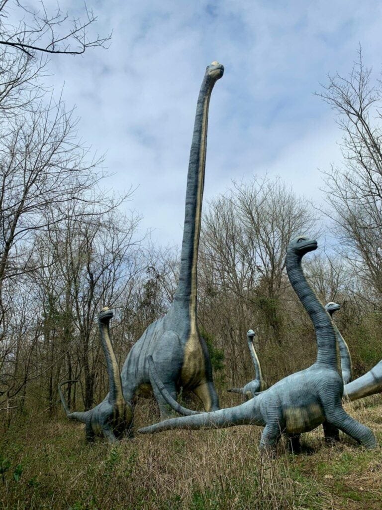 Brontosaurus Vs. Brachiosaurus
