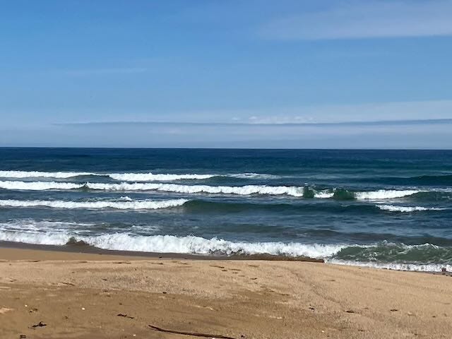 A wide sandy beach with scattered driftwood stretches across the foreground, while several rows of small, white-capped waves roll in from a deep blue sea under a clear sky with soft wisps of cloud on the horizon.