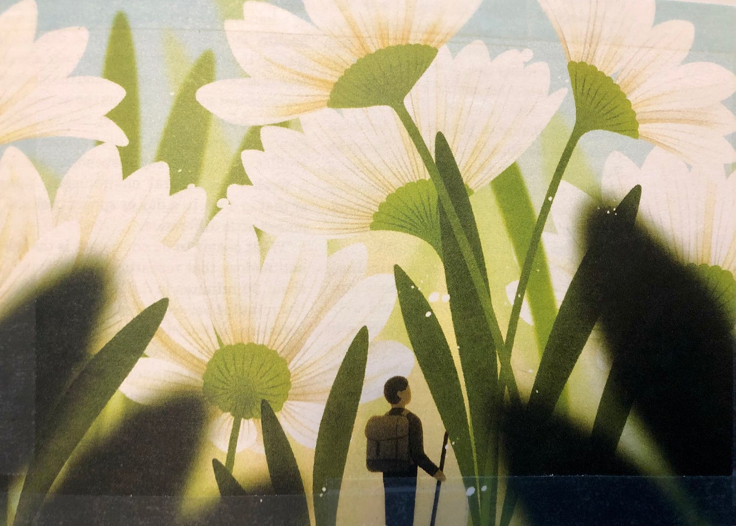 Person walking in nature