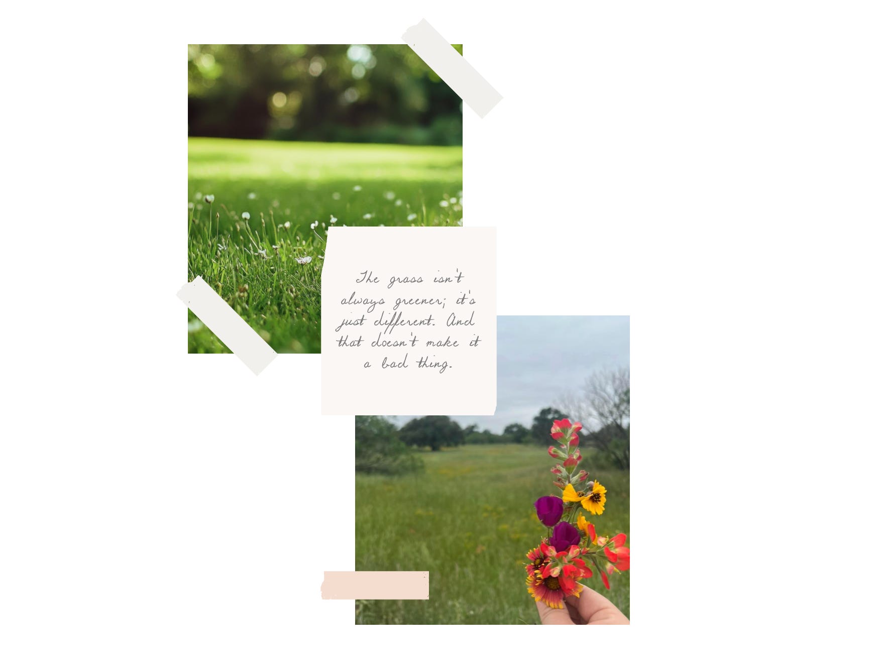 pep talk: green grass + comparison