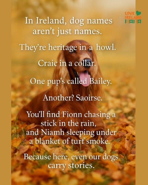 May be an image of 1 person and text that says "In Ireland, dog names aren't just names. LOVE IRELANG HAII They're heritage in a howl. Craic in a collar. One pup's called Bailey. Another? Saoirse. You'll find Fionn chasing a stick in the rain, and Niamh sleeping under a blanket of turf smoke. Because here, even our dogs carry stories."