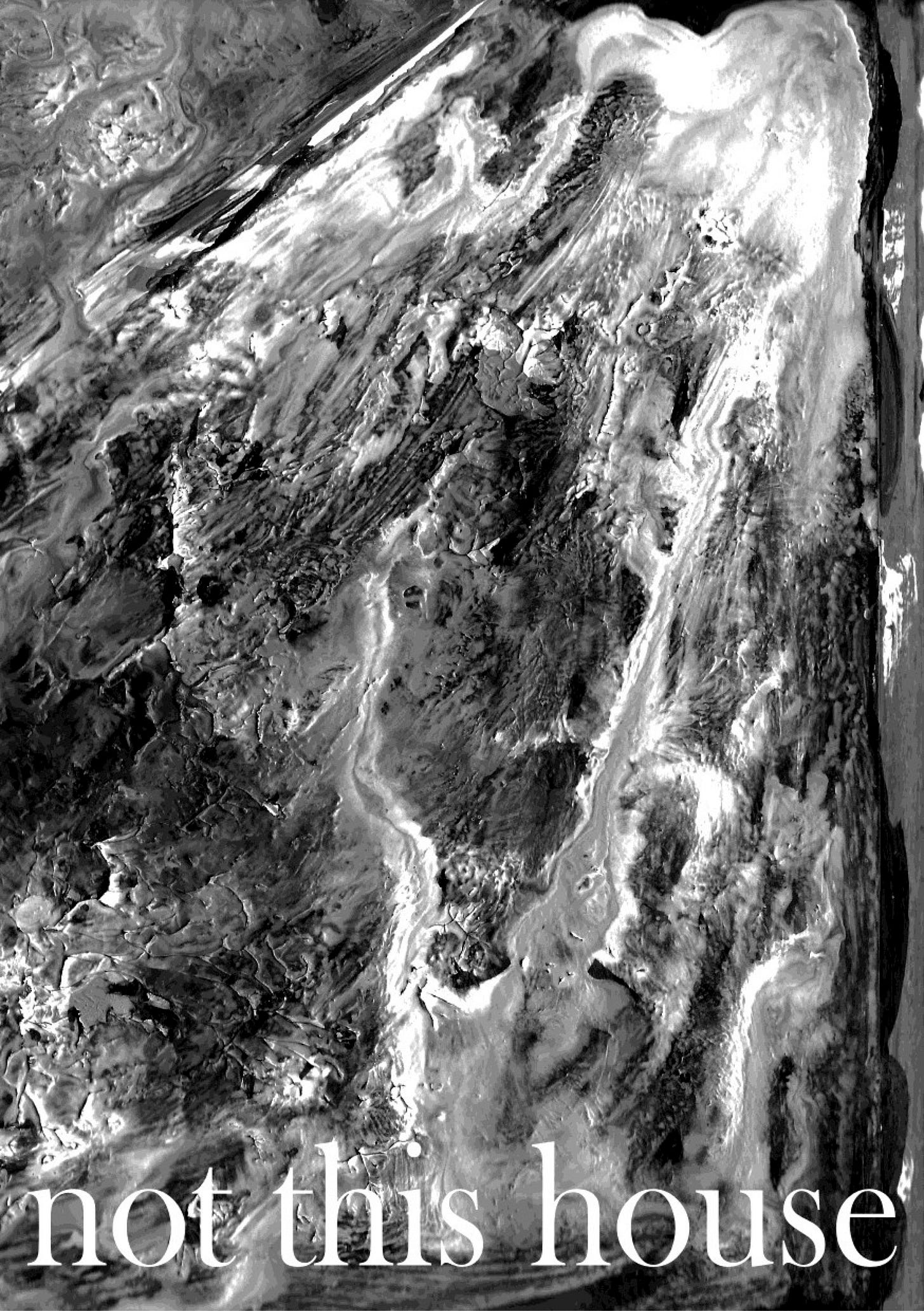 A black and white cover image. It could be the sea as viewed from above, or a log, or a rock. It's all swirling shapes together. The text says 'not this house' in a lowercase serif font.