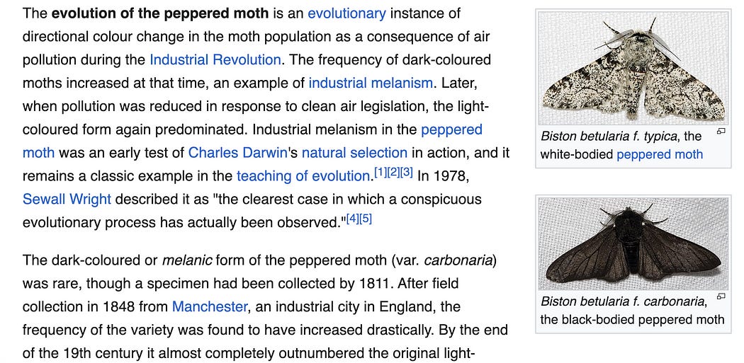 Genetic Algorithms — Intuitively and Exhaustively Explained