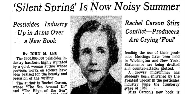 image 8.png image 8.png