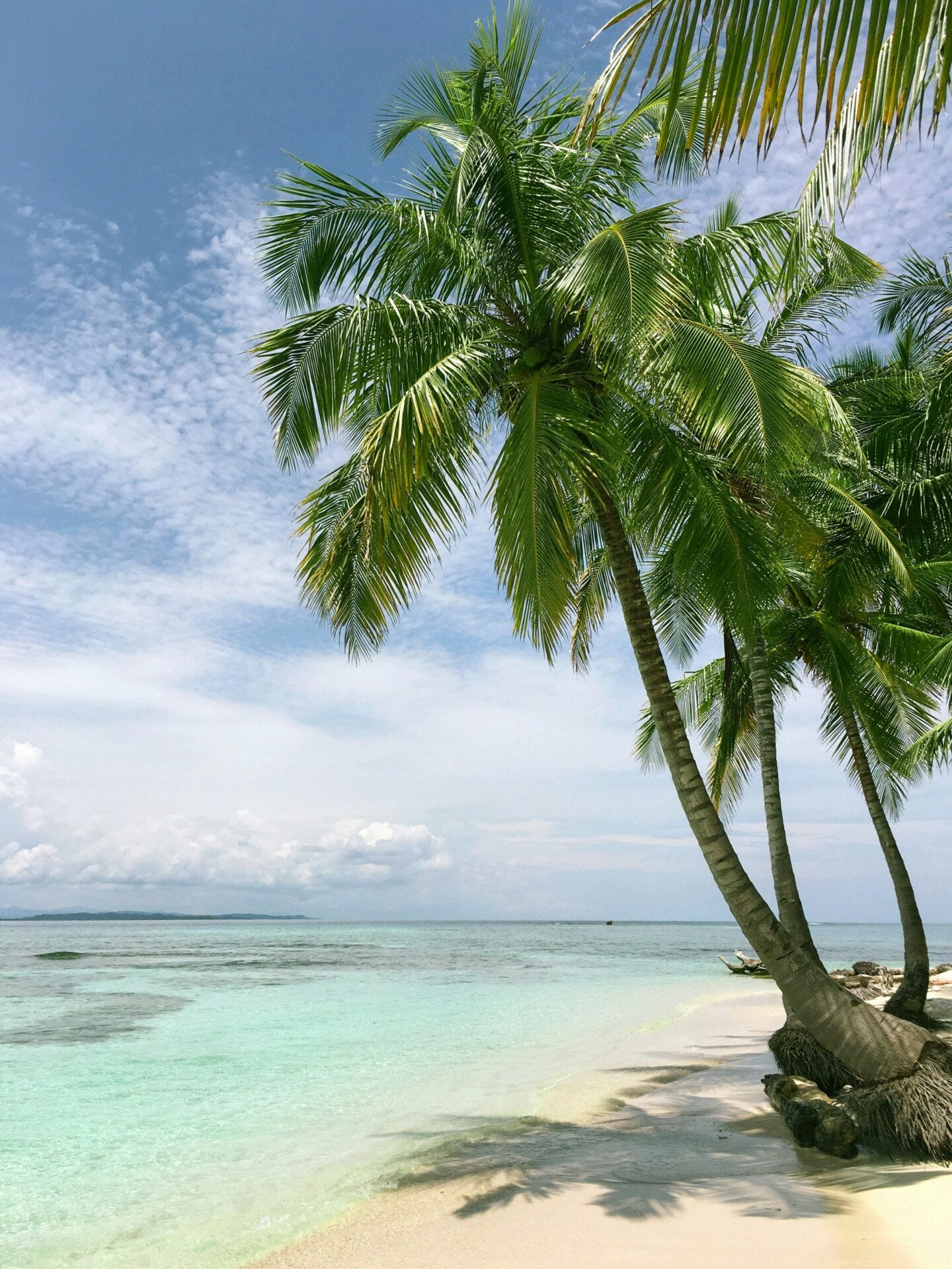 Best Places to Buy Property in Jamaica