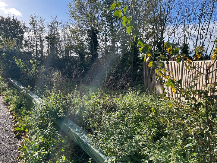 Trees, hedges, and plants on roads and at stations