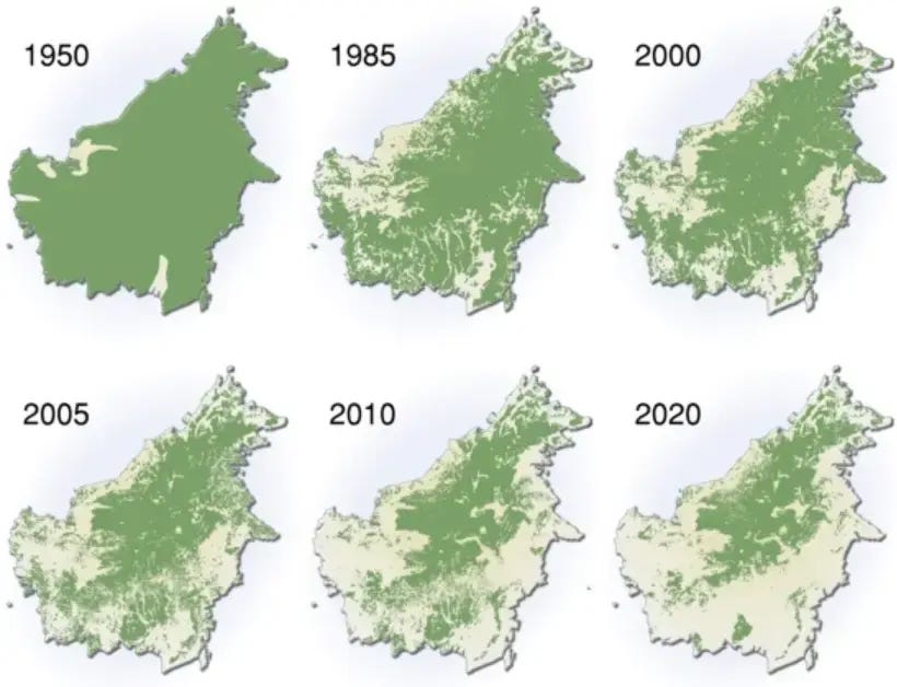 6 maps of the Borneo Rainforest coverage from 1950 to 2020
