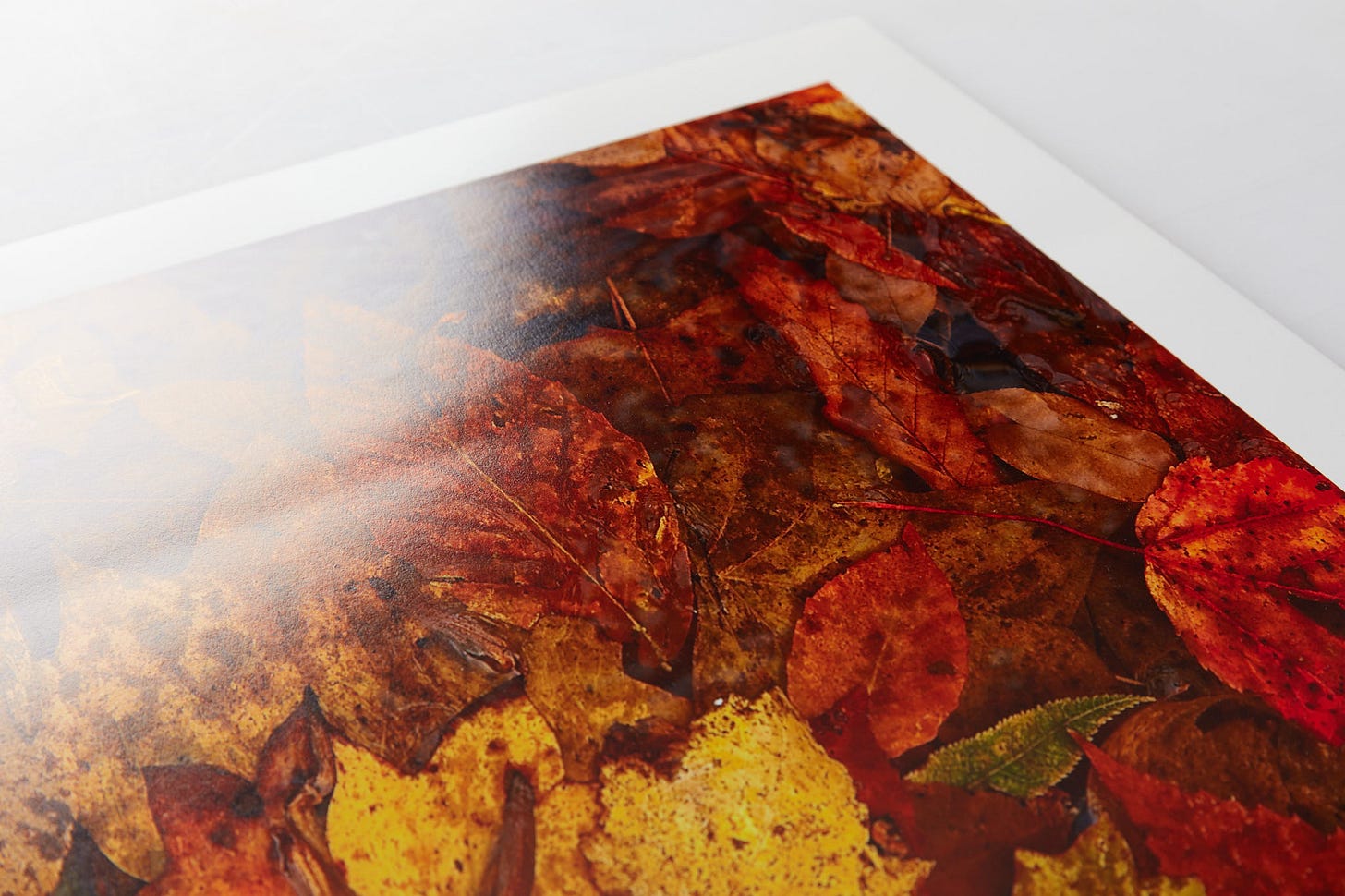 creased print creased print