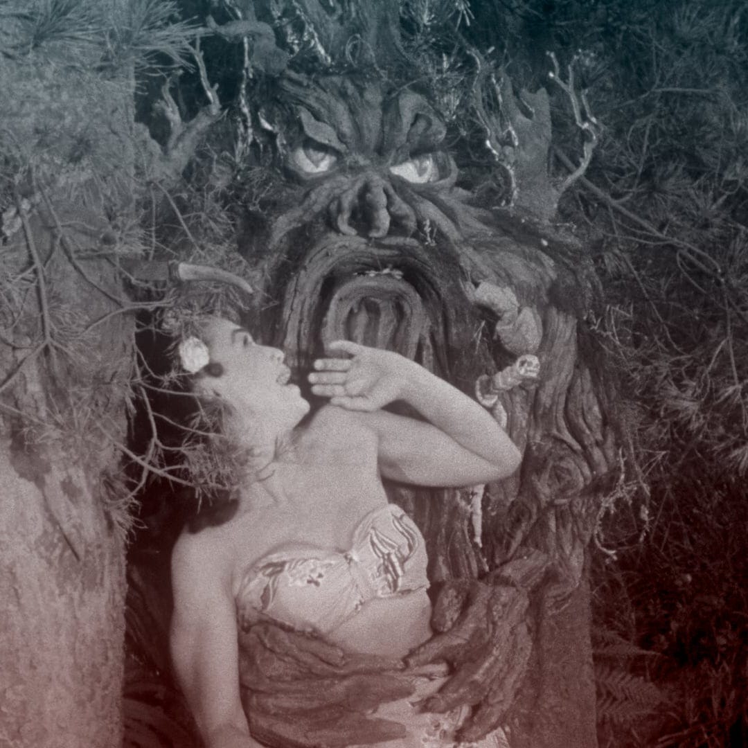 Toby Radloff's Cult Corner