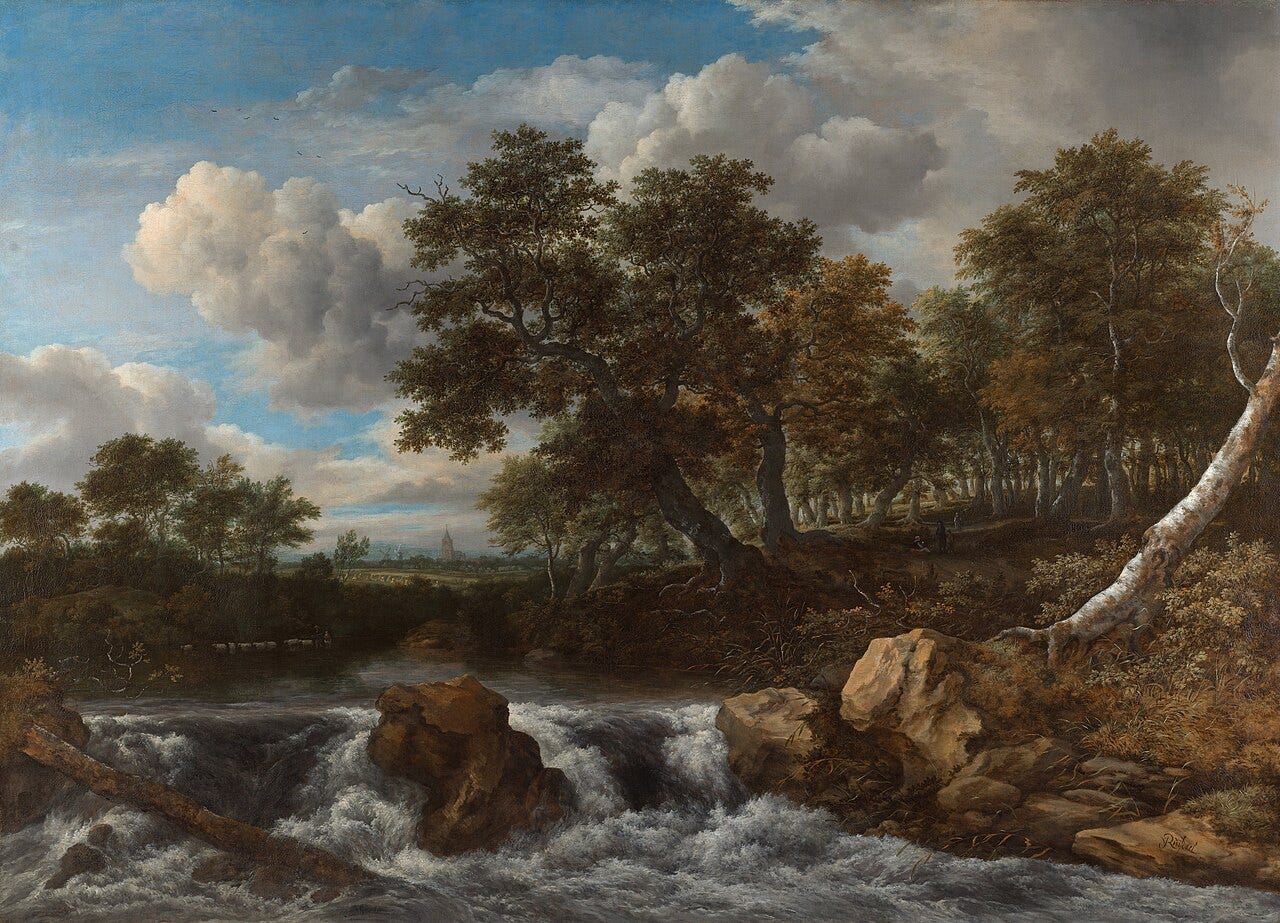 A stream pouring over low rocks in front of a group of tall trees, under a cloudy blue sky