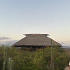 🏄 PUERTO ESCONDIDO