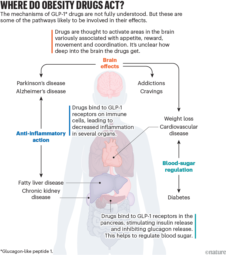 glp-1 and binge eating disorder Transformation 2.0: The GLP-1 RAs as Psychiatric Medications?