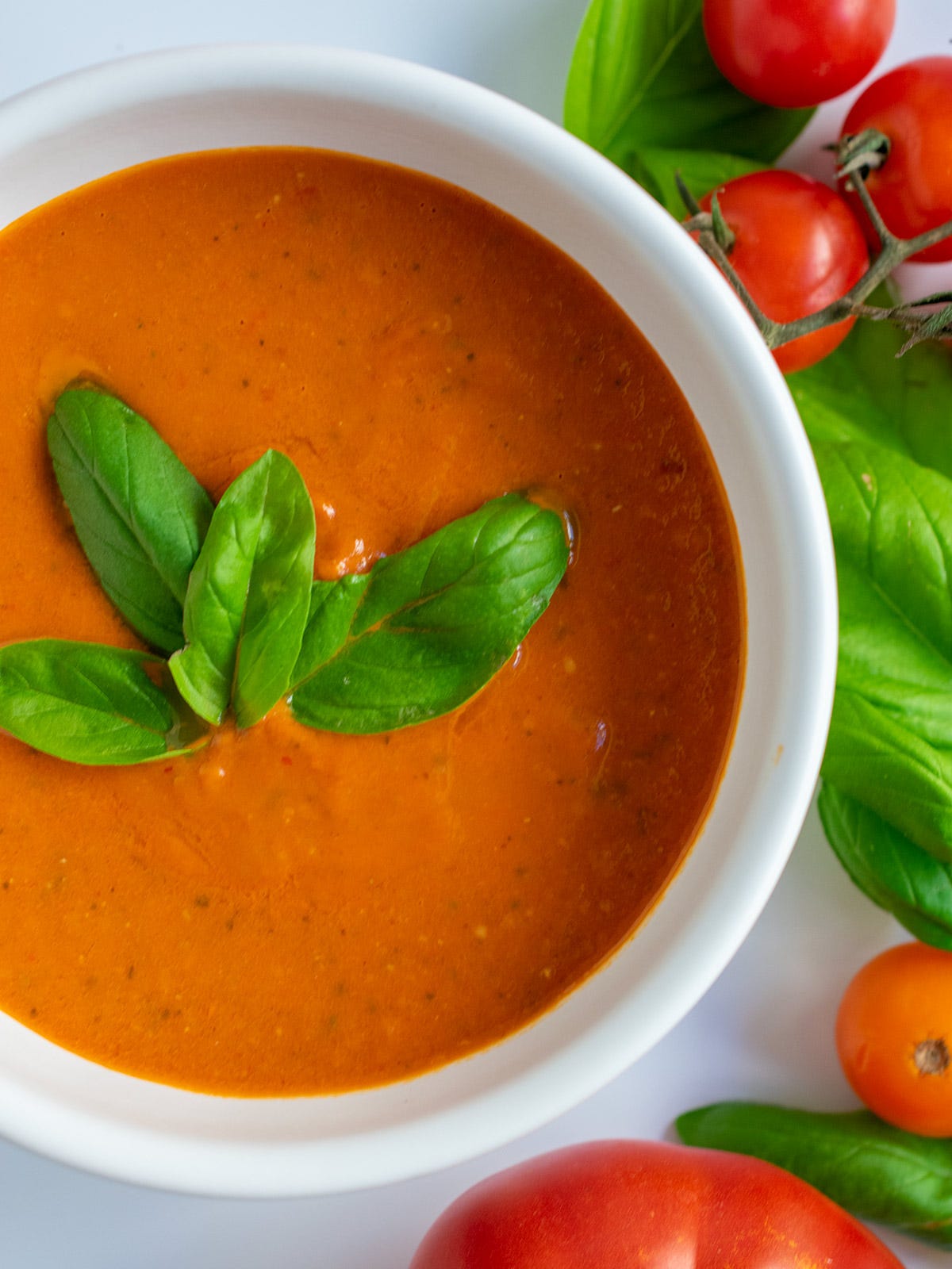 Roasted tomato sauce in a white bowl with basil on top and fresh tomatoes on the side. Roasted tomato sauce in a white bowl with basil on top and fresh tomatoes on the side.