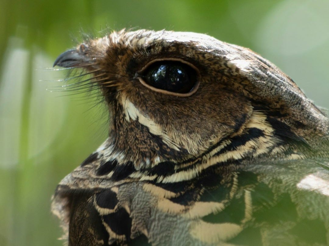 Les 7 Bonnes Nouvelles du Jeudi 22 Janvier 2026