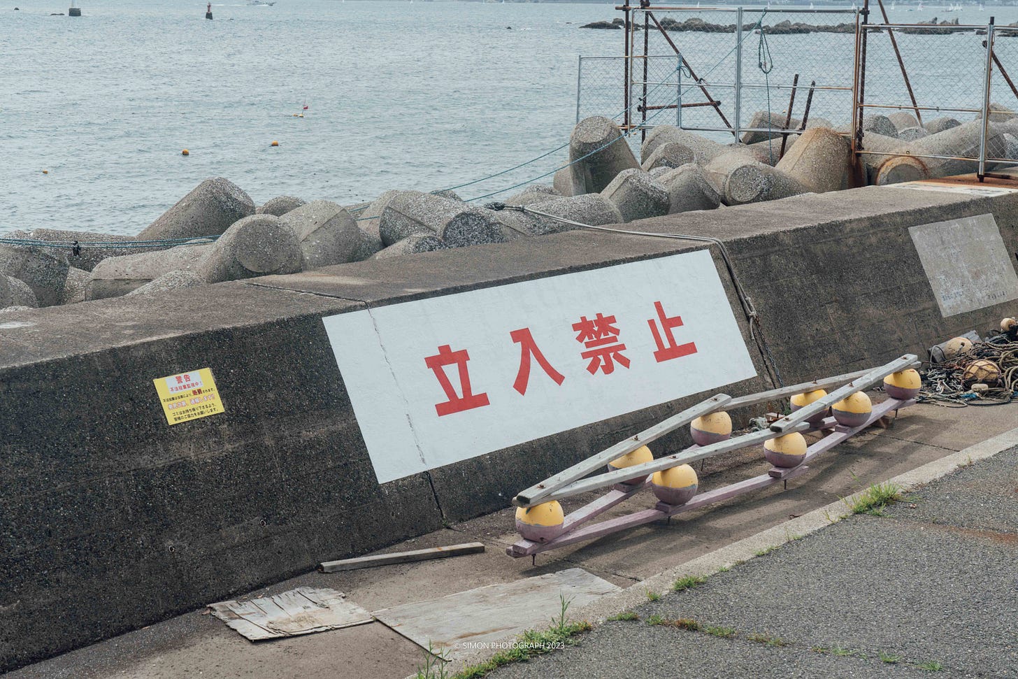 DSC00411.jpg