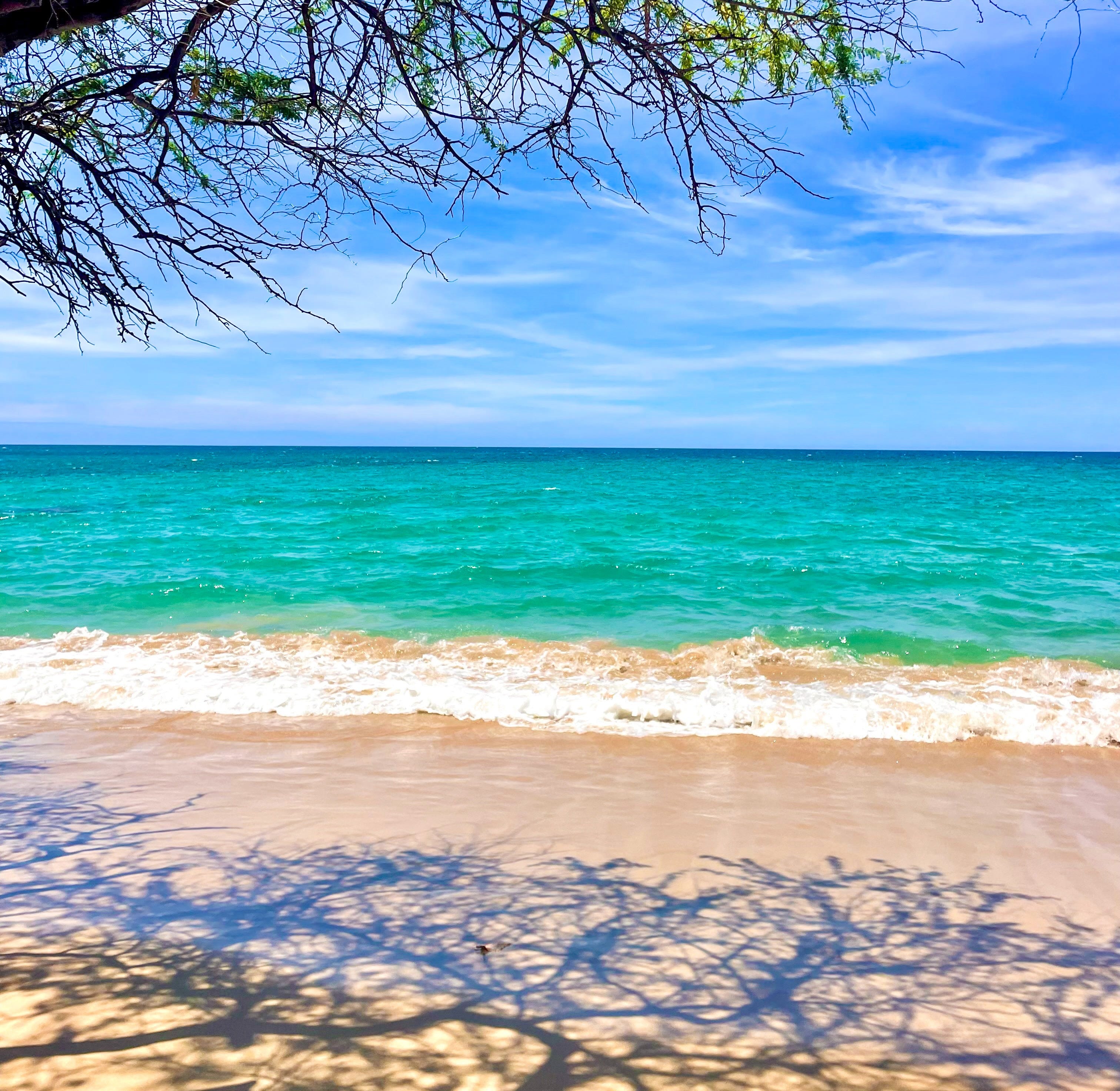 The Gay Lane Travel Guide: The Big Island of Hawaiʻi