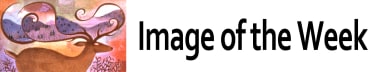 Image of the Week