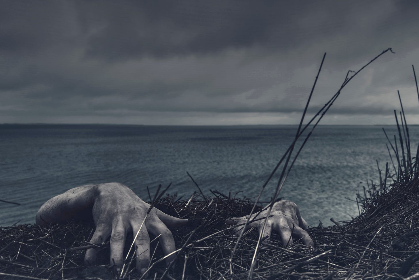Two hands, those of a zombie, reach up on a ledge overlooking a body of water. Two hands, those of a zombie, reach up on a ledge overlooking a body of water.