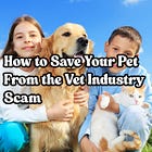 How to Save Your Pet From the Vet Industry Scam: Real Alternatives That Work