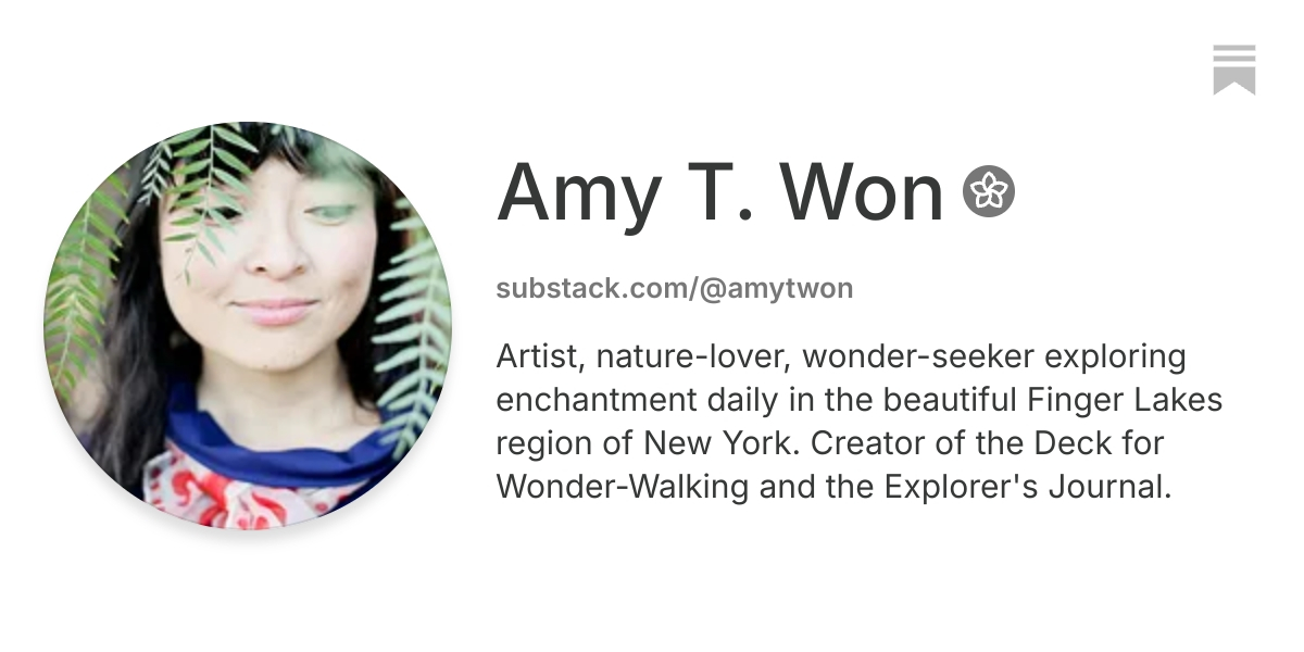 Amy T. Won | Substack