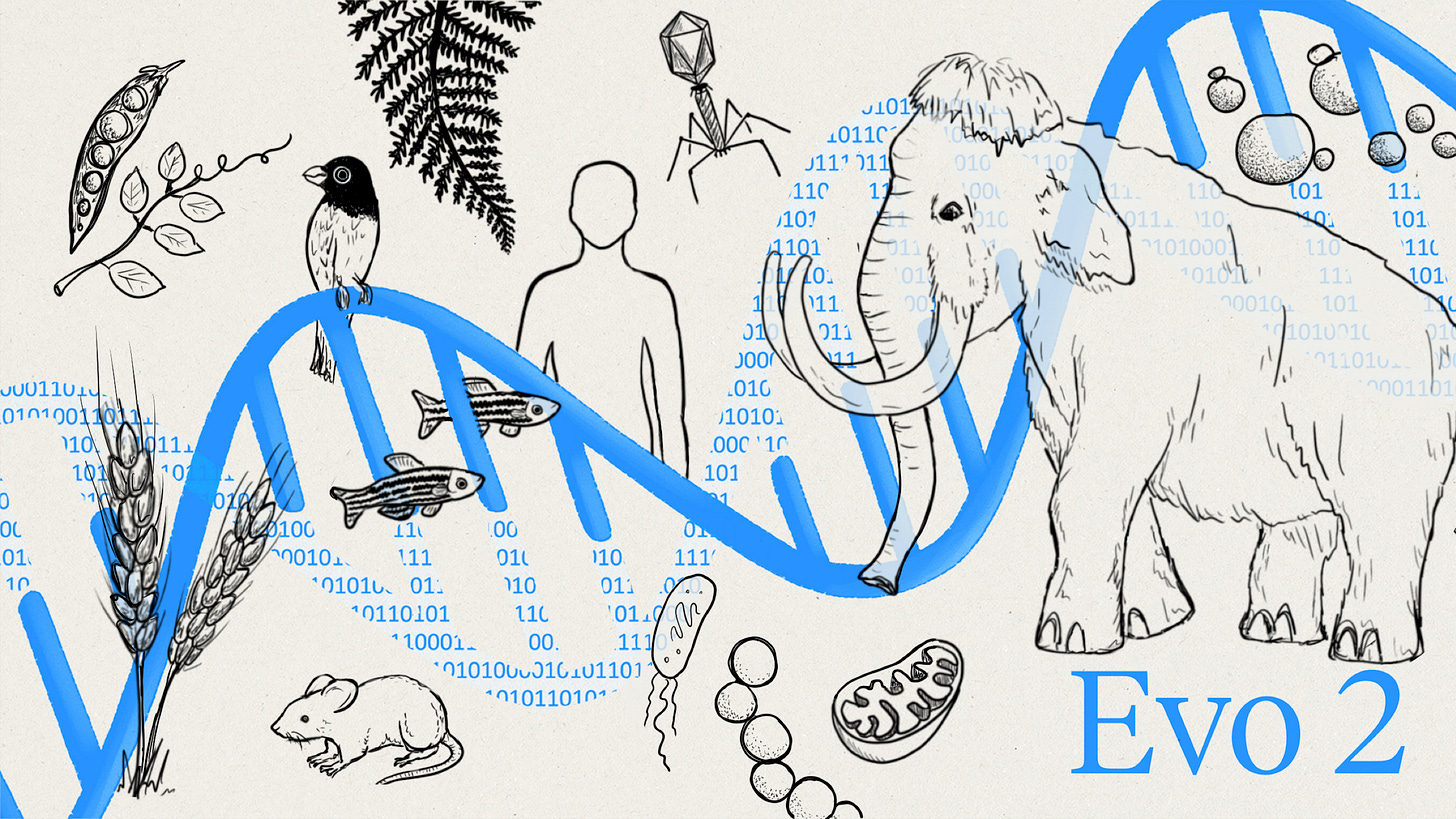 AI can now model and design the genetic code for all domains of life with Evo  2 | Arc Institute