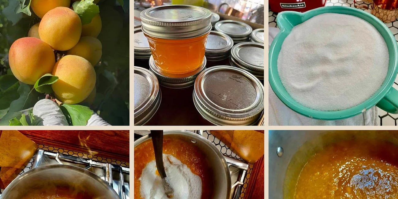 Apricot Jam, My Way