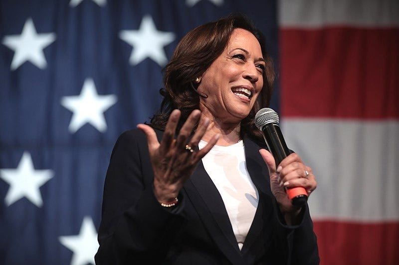 standing before a huge US Flag backdrop, Kamala Harris speaks into a microphone to an audience in Iowa