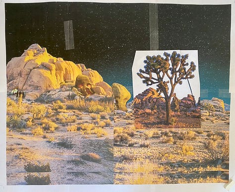 photos, sketches, drafts, and the final masterpiece showcasing Joshua Tree's beauty and mystery.