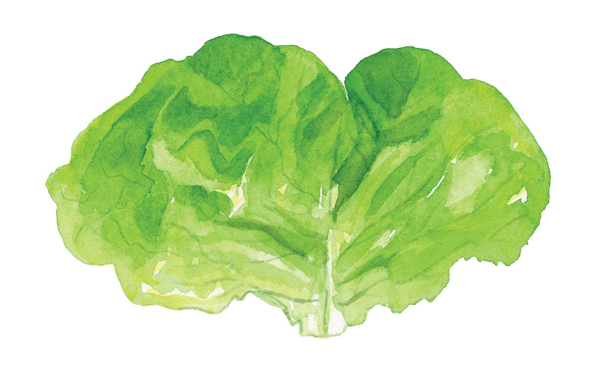 Abra Beren's Buttermilk and Butter Lettuce Salad