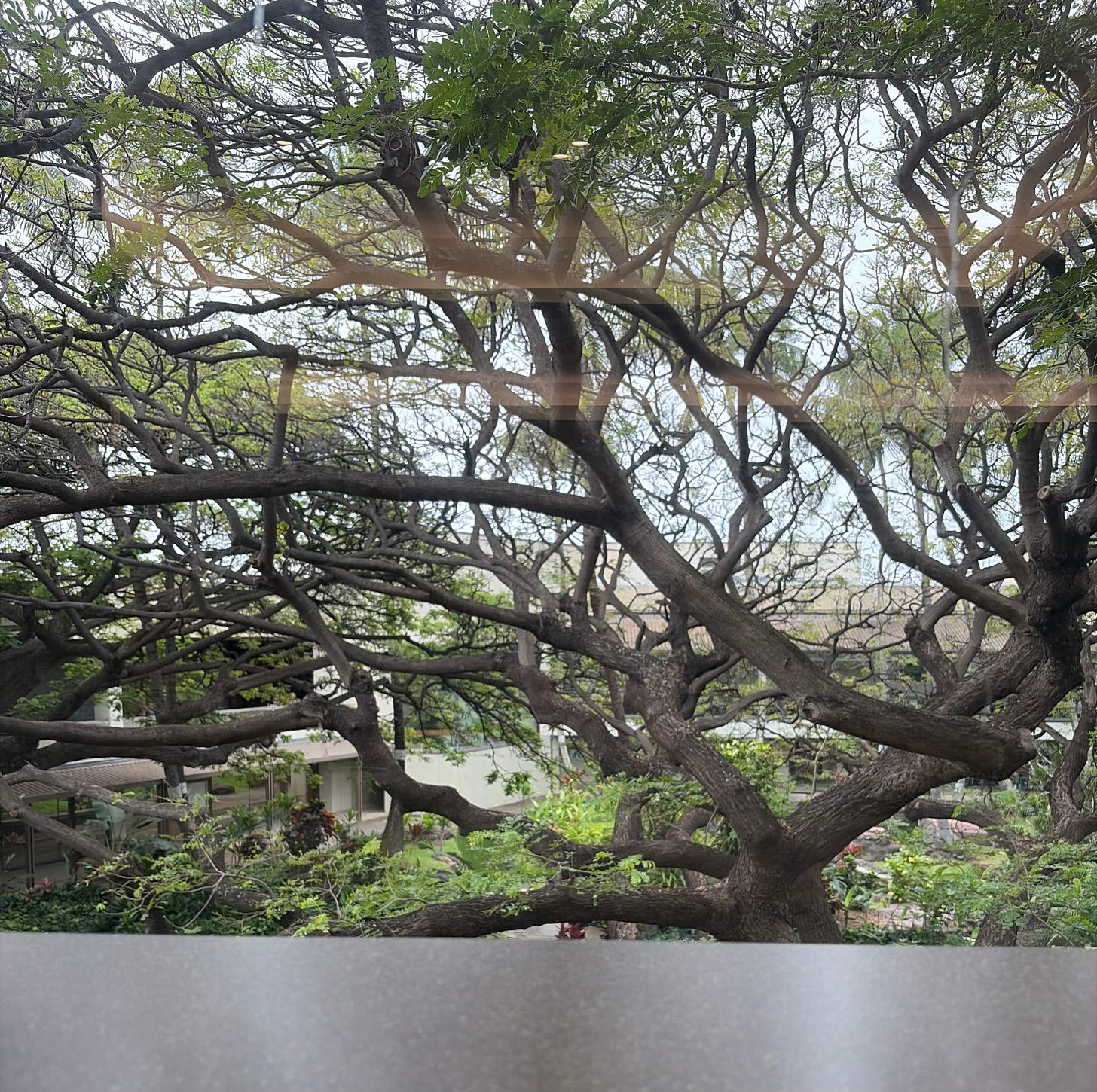 View from the Sakura Lounge at the Honolulu airport