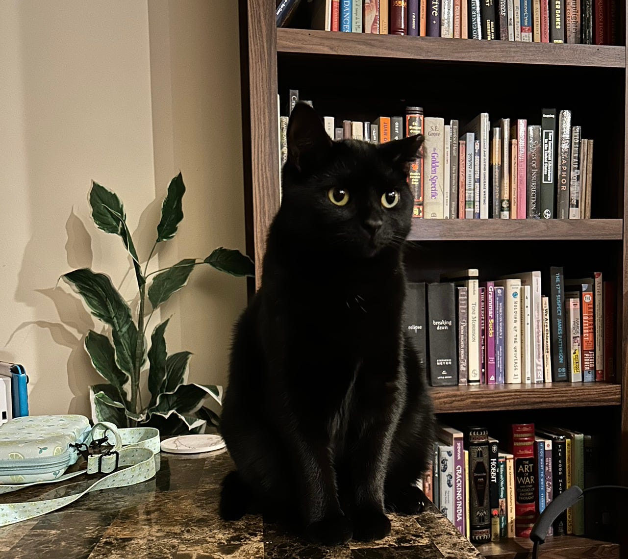 Artwork for Emma Armendariz