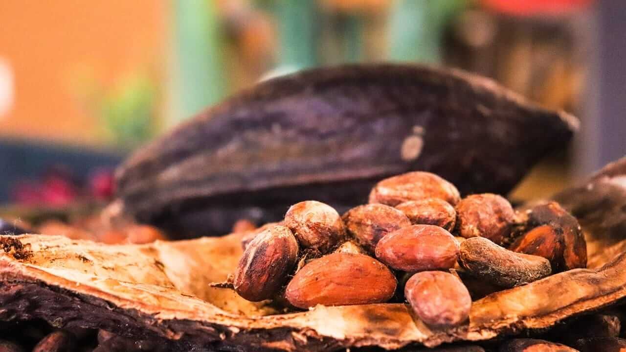 Cacao by Allybally4b via Pixabay