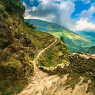 The Creativity Quest