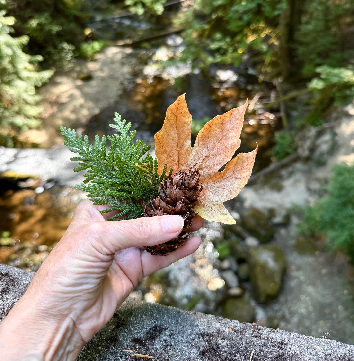 Offering in hand. Photo by JPC.