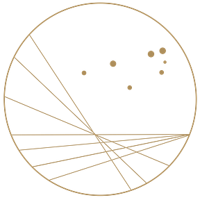 Becoming Whole x Dr. Erica Matluck