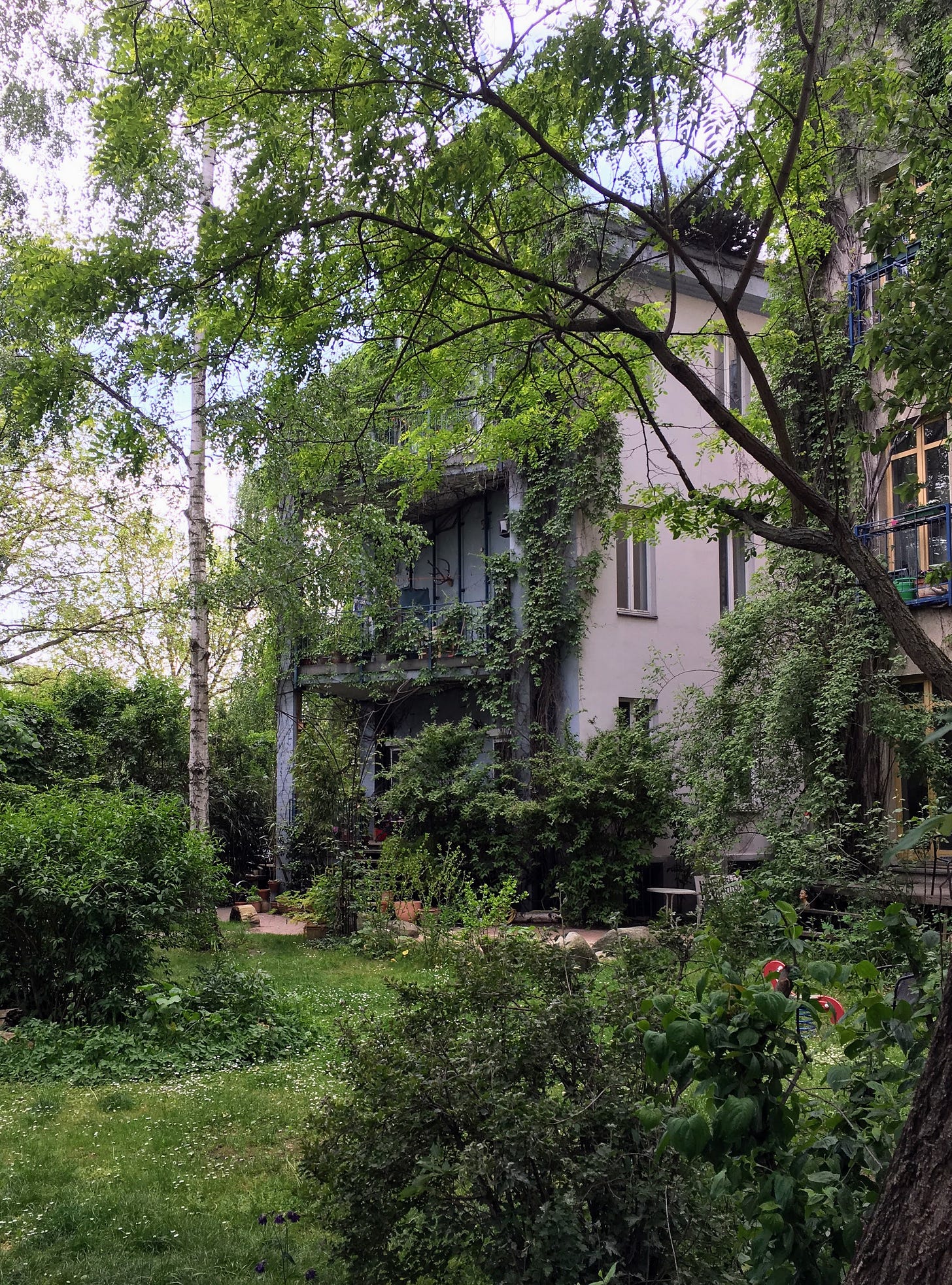 nature taking over a house