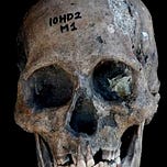 Anthropology.net