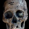 Anthropology.net