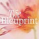 The Bleuprint